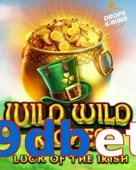 9dbet