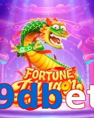 9dbet